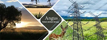 Angus Pylon Action Group