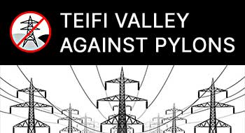 Teifi Valley Against Pylons